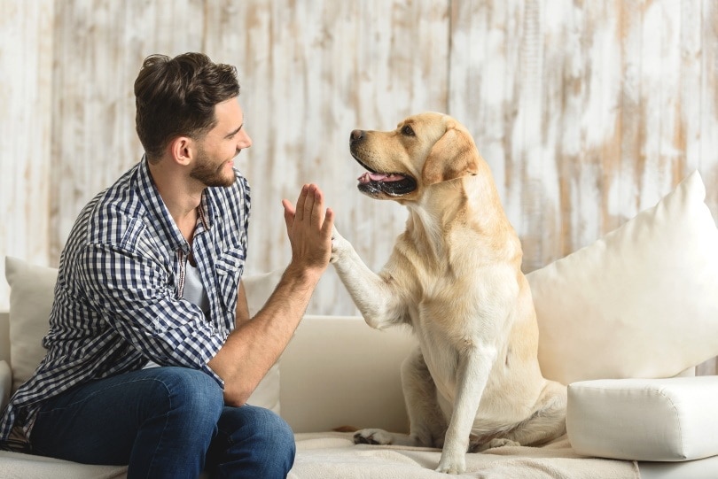 играю с собакой_Елена Якобчук_Shutterstock