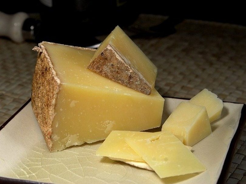 Read more about the article Можно ли кореллам есть сыр?  Что тебе нужно знать!