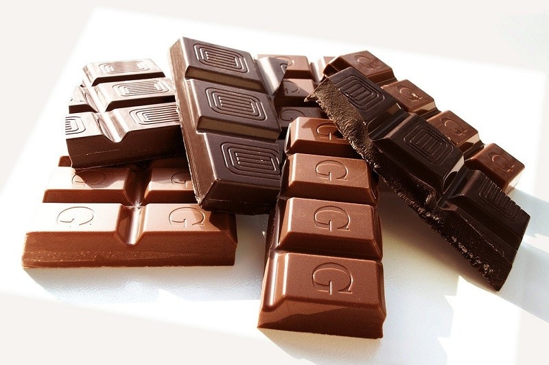 Read more about the article Можно ли какаду есть шоколад?  Что тебе нужно знать!