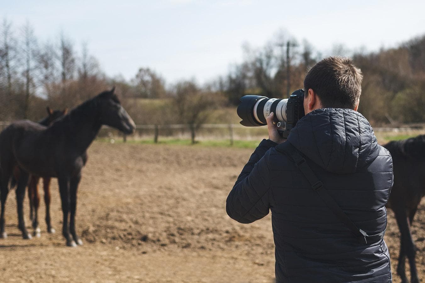 Read more about the article 15 советов по фотосъемке лошадей: руководство по созданию идеального портрета питомца