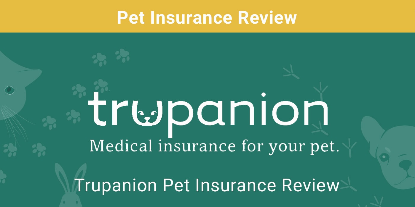 Read more about the article Trupanion Pet Insurance Review 2022: плюсы, минусы и вердикт