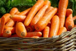 Read more about the article Можно ли хомякам есть морковь?  Что тебе нужно знать!