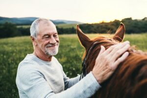 Read more about the article Может ли лошадь определить ваши чувства?  Что говорит наука!