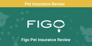 Read more about the article Figo Pet Insurance Review 2022: плюсы, минусы и вердикт