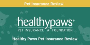 Read more about the article Обзор страхования домашних животных Healthy Paws 2022: плюсы, минусы и вердикт