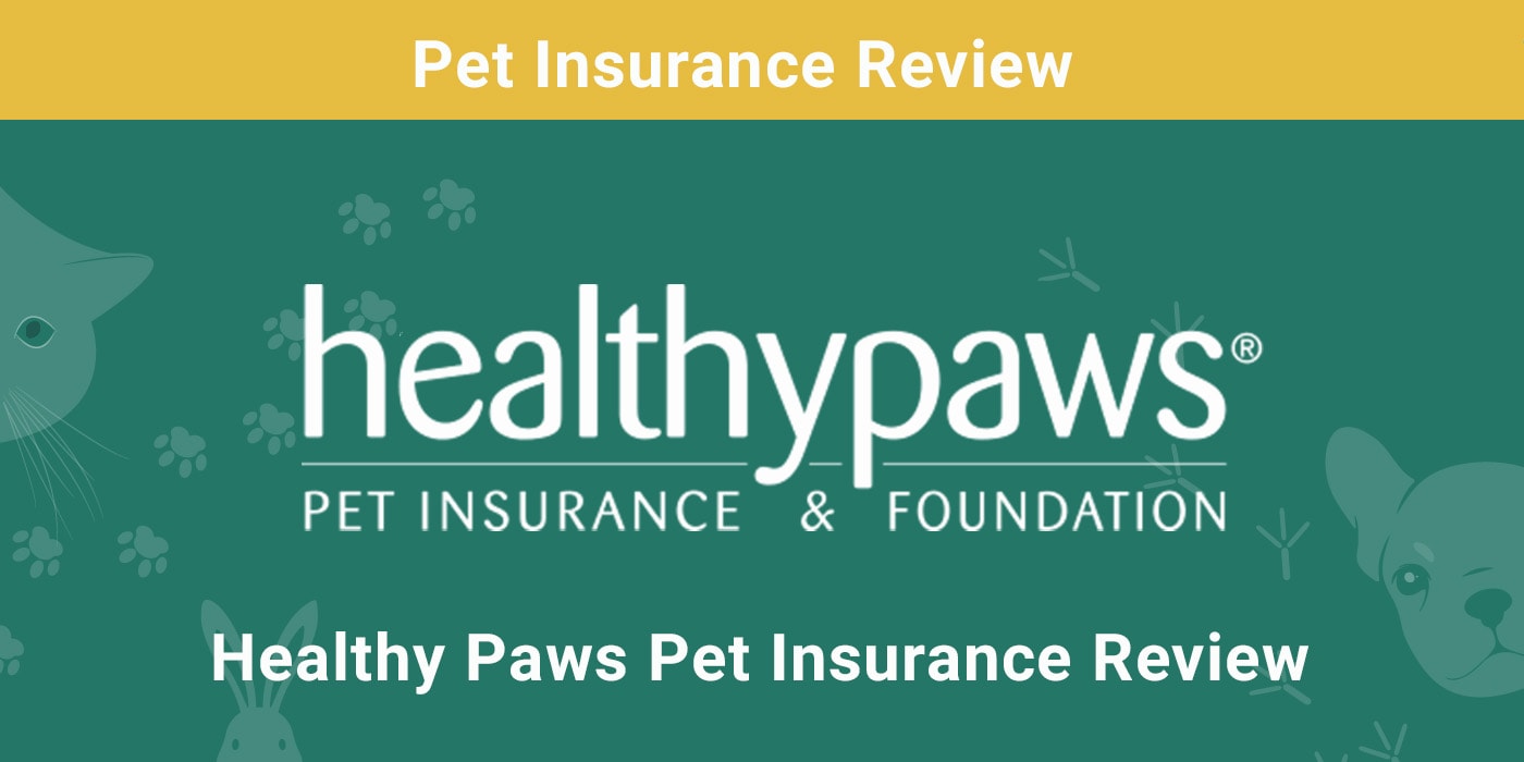 You are currently viewing Обзор страхования домашних животных Healthy Paws 2022: плюсы, минусы и вердикт