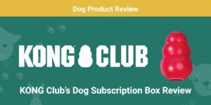 Read more about the article Обзор KONG Club: выгодна ли коробка подписки?