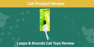 Read more about the article Обзор игрушек для кошек Leaps & Bounds 2023: подходят ли они вашим кошкам?
