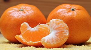 Read more about the article Могут ли утки есть апельсины?  Что тебе нужно знать!