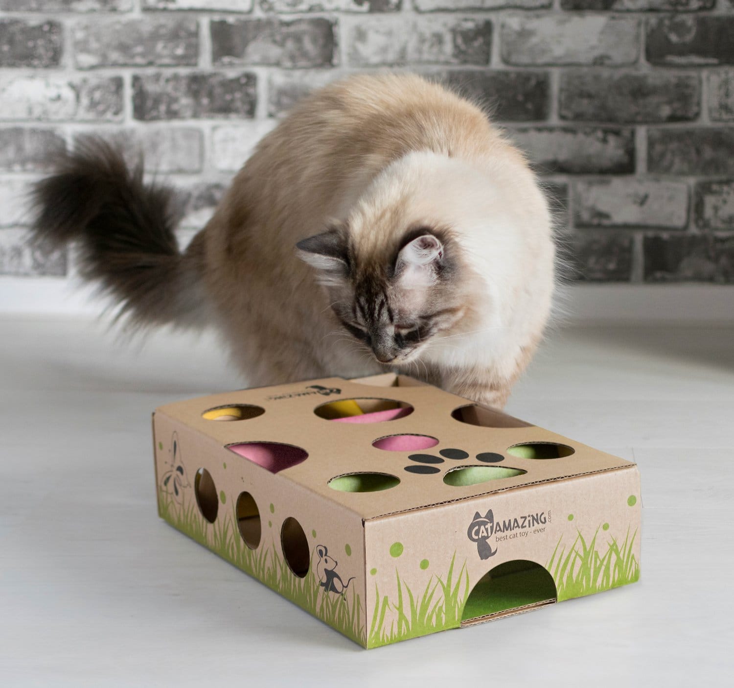 кот играет в кошку Amazing Interactive Treat Maze & Puzzle Cat Toy