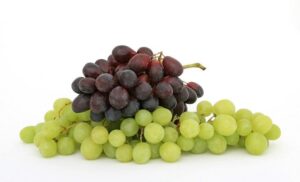 Read more about the article Могут ли бородатые агамы есть виноград?  Что тебе нужно знать