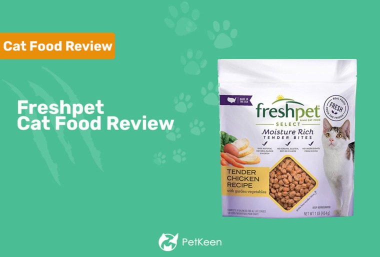 Заголовок обзора корма для кошек freshpet