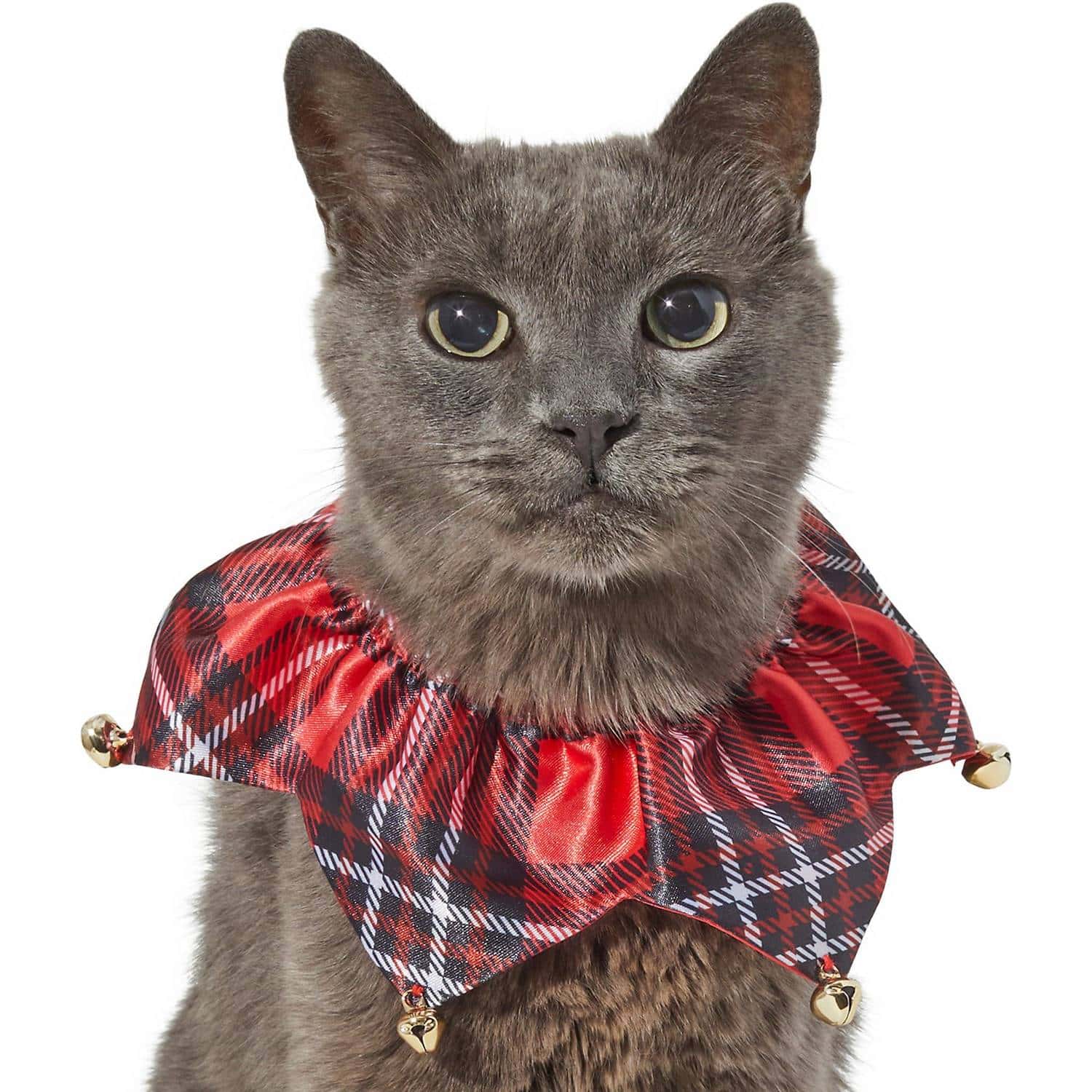 Frisco Red Plaid Cat Ruffle Collar With Bells (1)