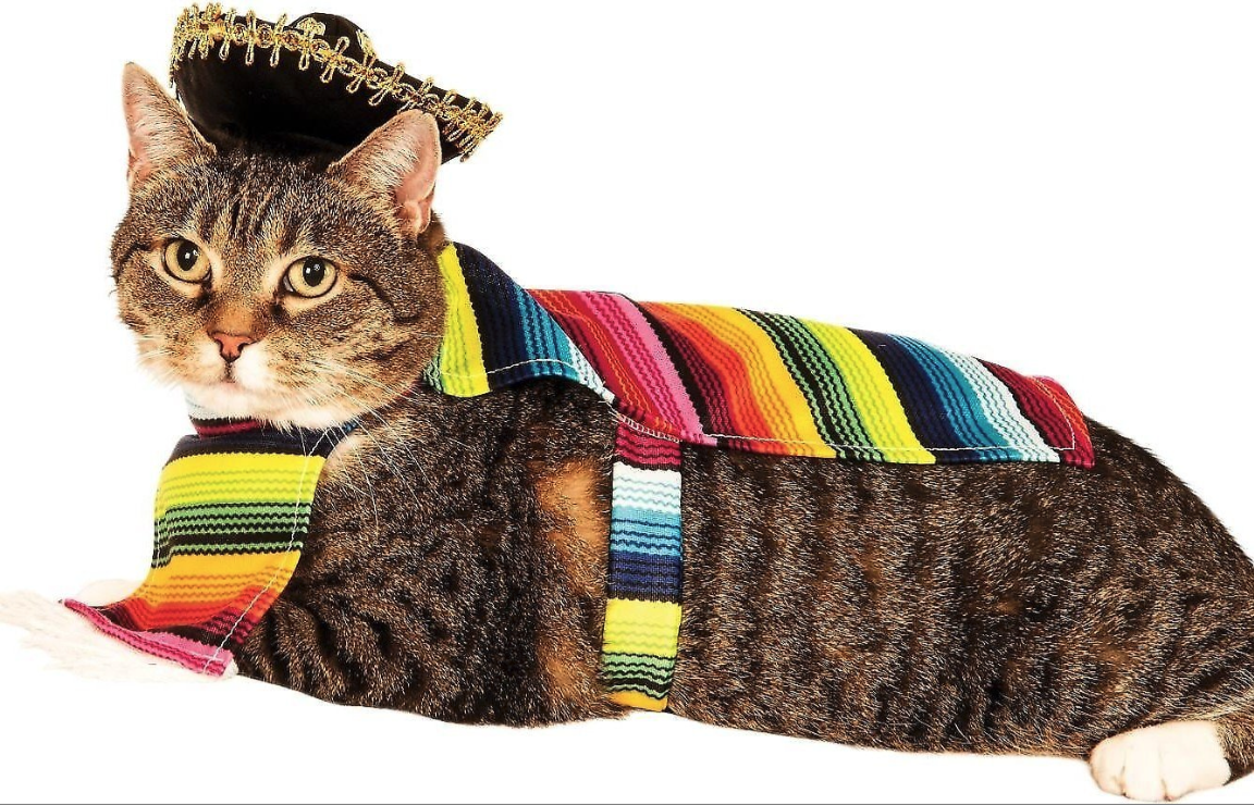 Rubie's Costume Company Serape Cat Costume (2)