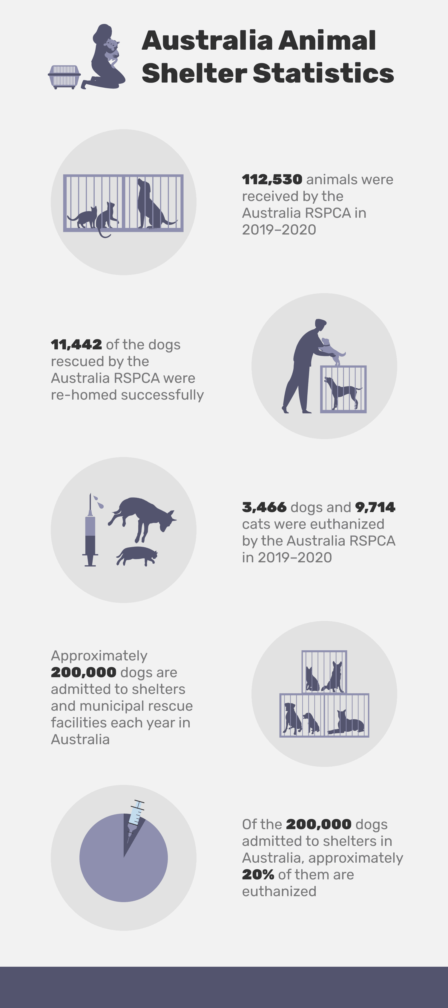 Австралия_Animal_Shelter_Statistics