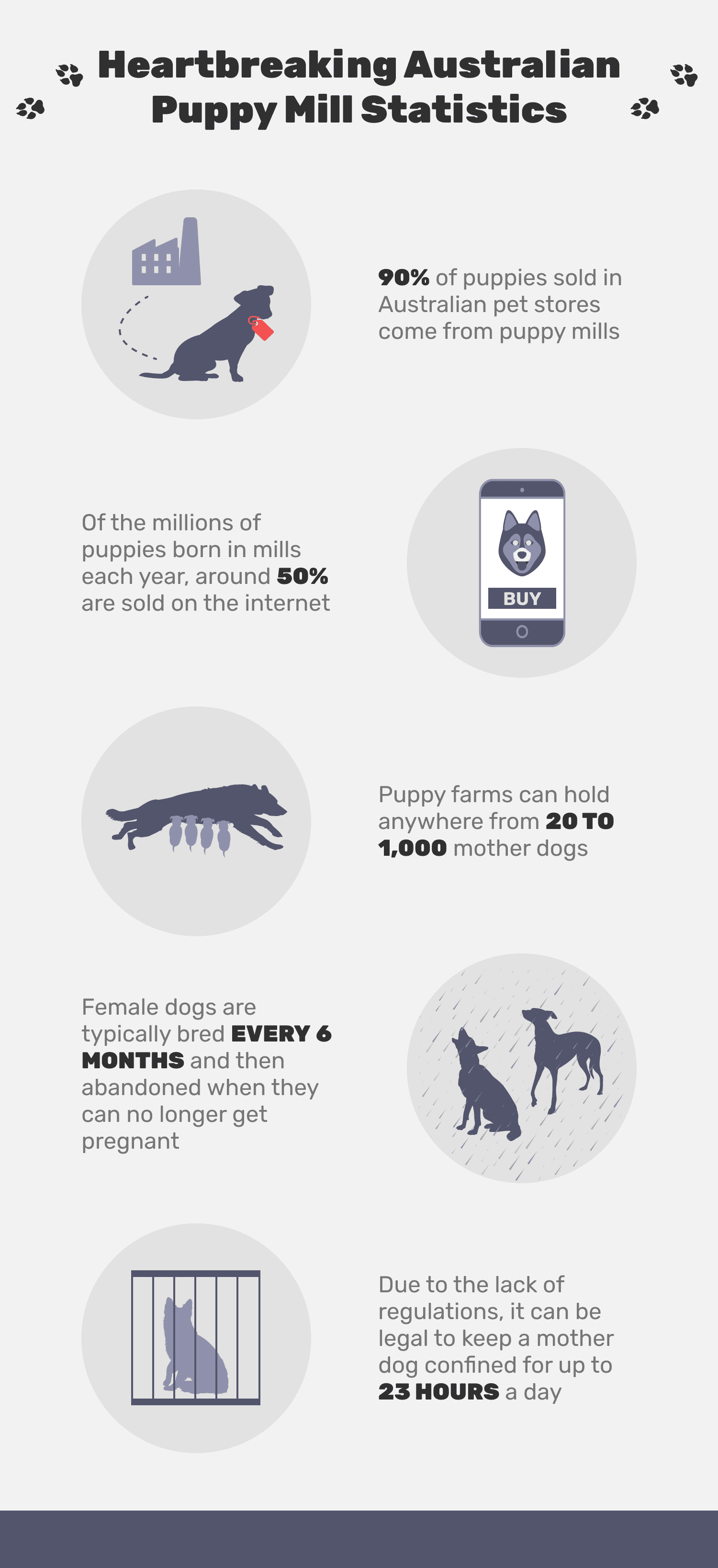 Heartbreaking_Australian_Puppy_Mill_Statistics