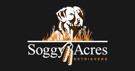 Soggy Acres ретриверы