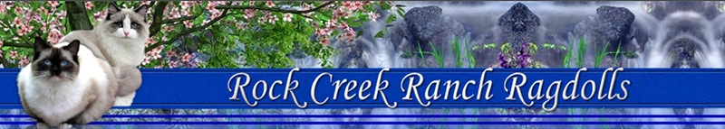 Логотип ранчо Rock Creek Ragdolls