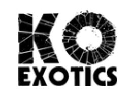 Логотип KO Exotics