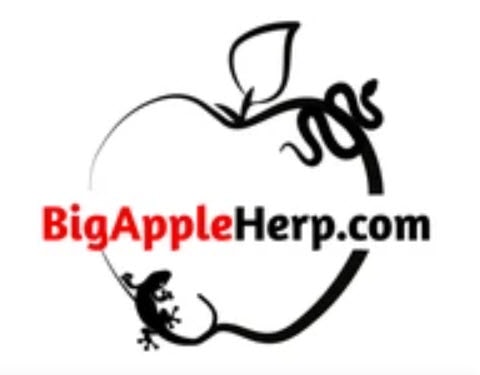 Логотип Big Apple Herp