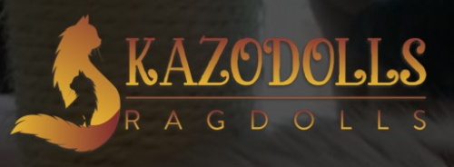 Логотип Kazodolls