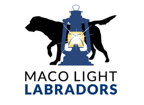 Логотип Maco Lights Labradors