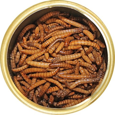 Exotic Nutrition Mealworms Hedgehog угощения