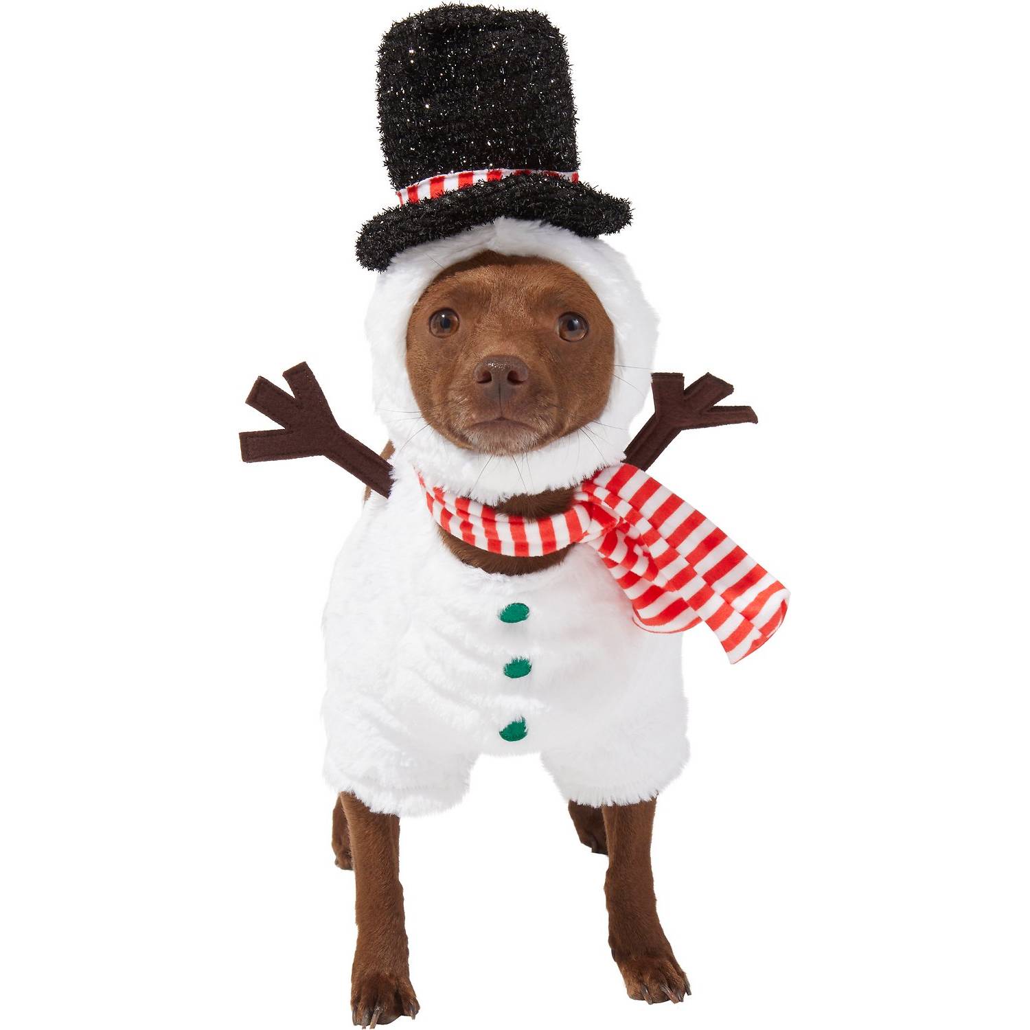 Frisco Front Walking Snowman Dog & Cat Costume (1)