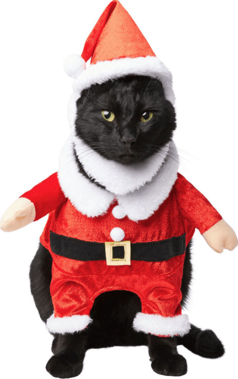 Frisco Front Walking Santa Dog & Cat Costume (1) кошка