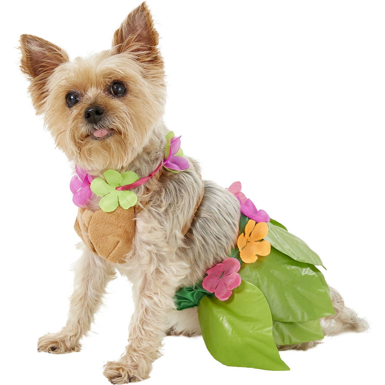 Rubie's Costume Company Hula Girl Dog & Cat Costume (1)