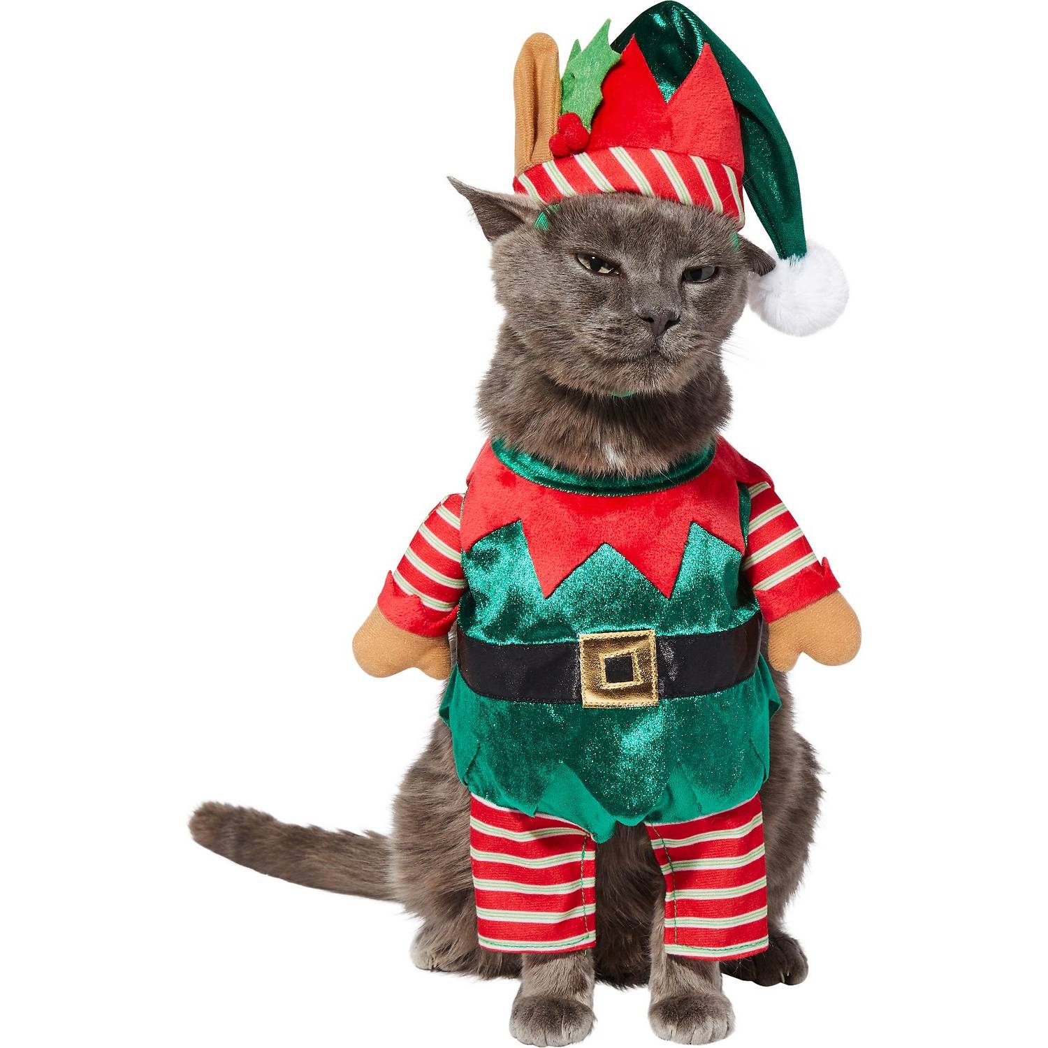 Frisco Front Walking Elf Dog & Cat Costume (1)