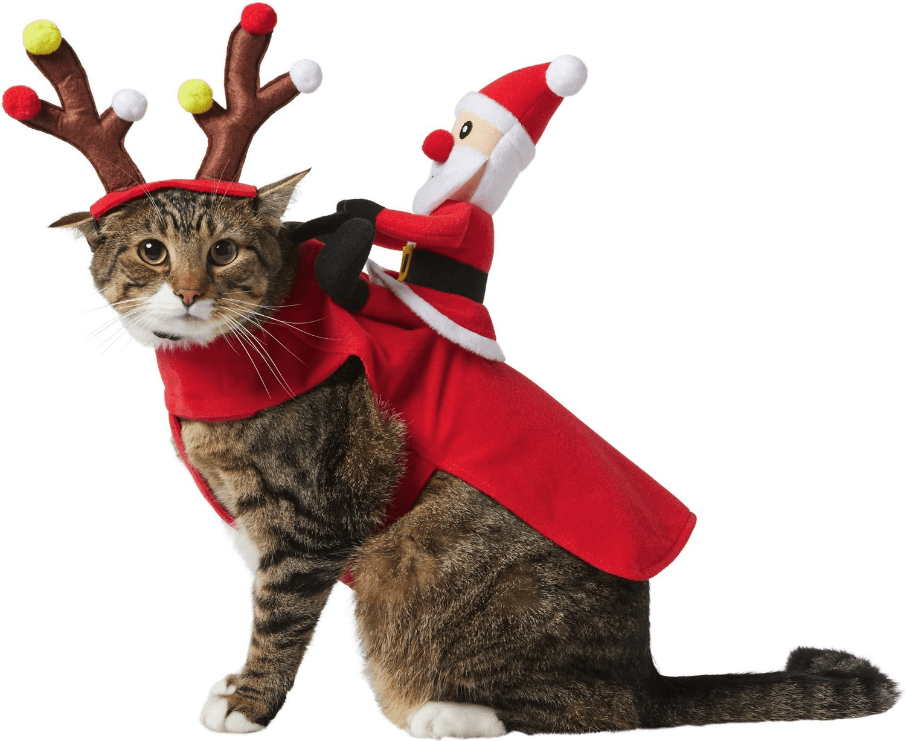 Frisco Santa Rider Dog & Cat Costume кошка