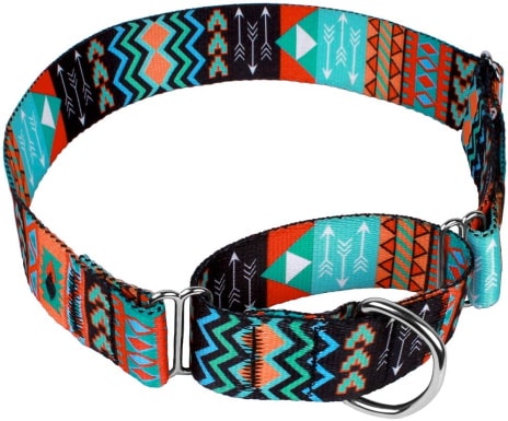 Ошейник Direct Martingale Dog Collar