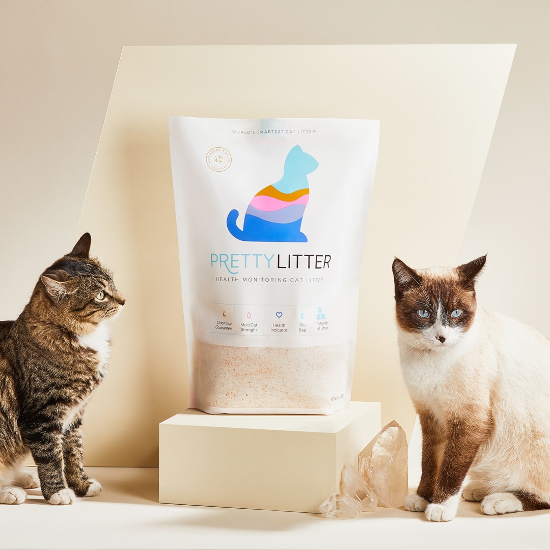 PrettyLitter_две кошки с мешком для мусора