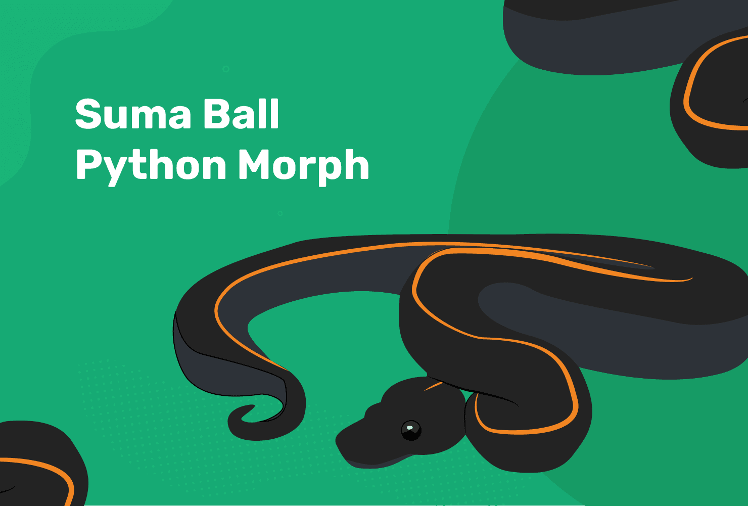 You are currently viewing Suma Ball Python Morph: информация, факты, изображения и многое другое