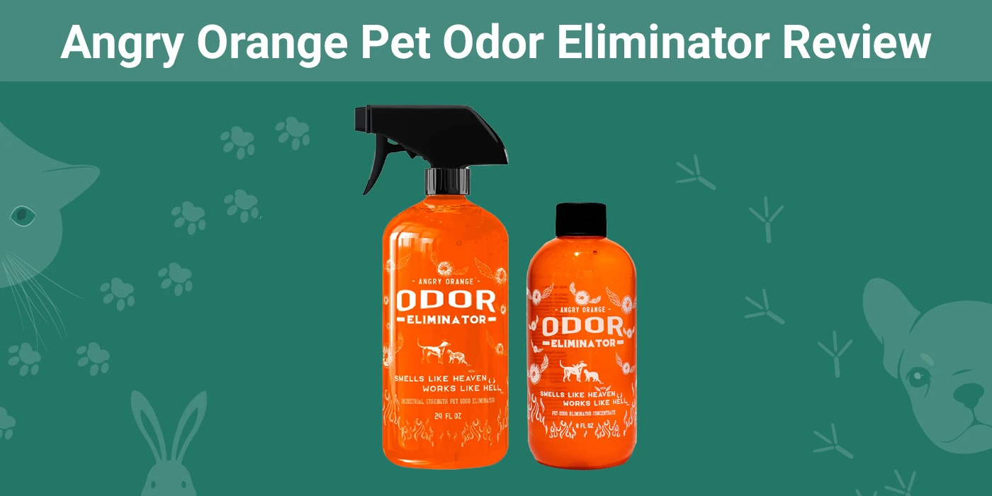 You are currently viewing Angry Orange Pet Odor Eliminator Review 2023 — наше экспертное мнение