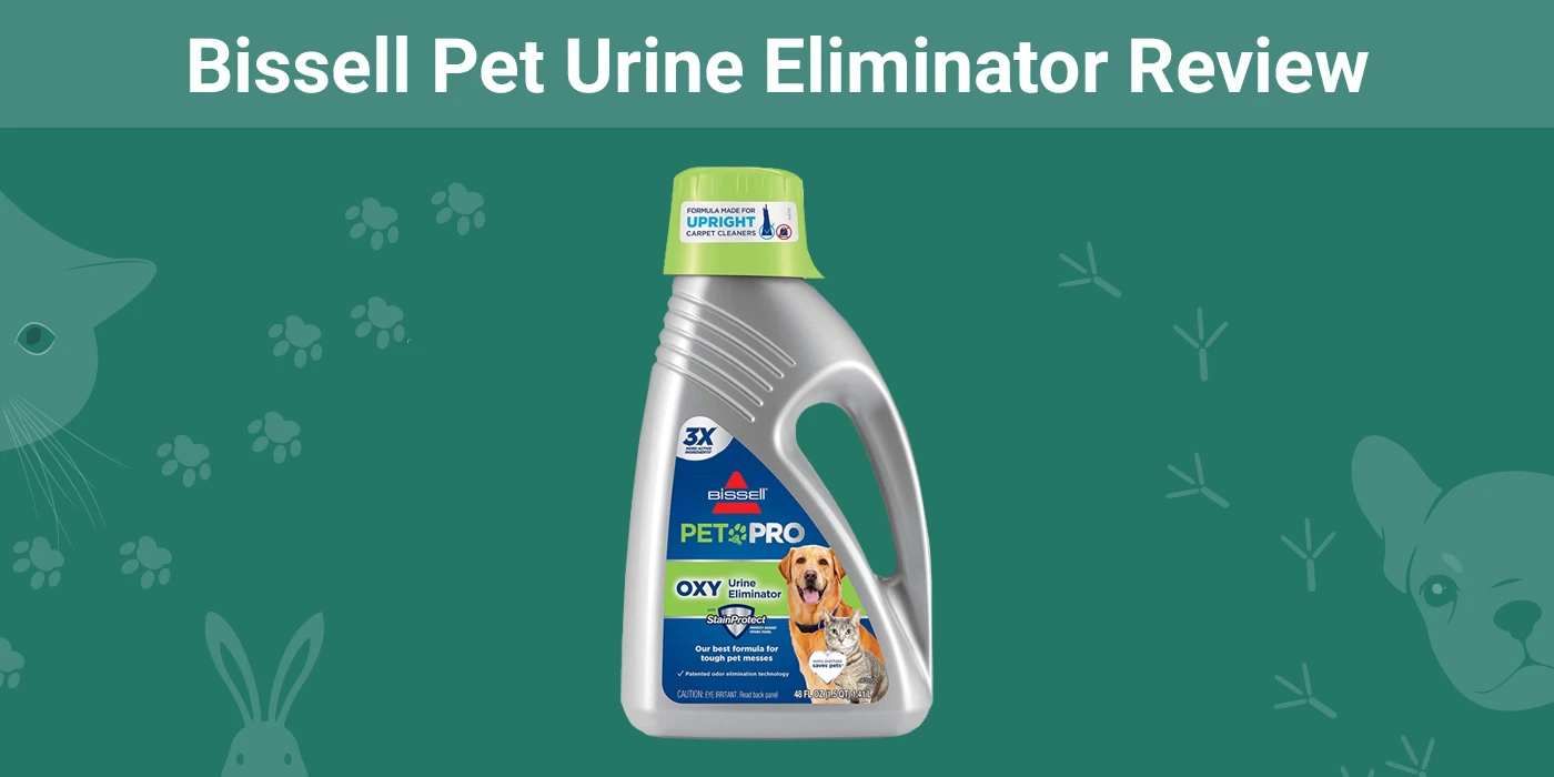 You are currently viewing Bissell Pet Urine Eliminator Review 2023: плюсы, минусы и окончательный вердикт