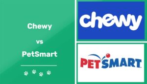 Read more about the article Chewy против PetSmart — различия и сравнение цен в 2023 году