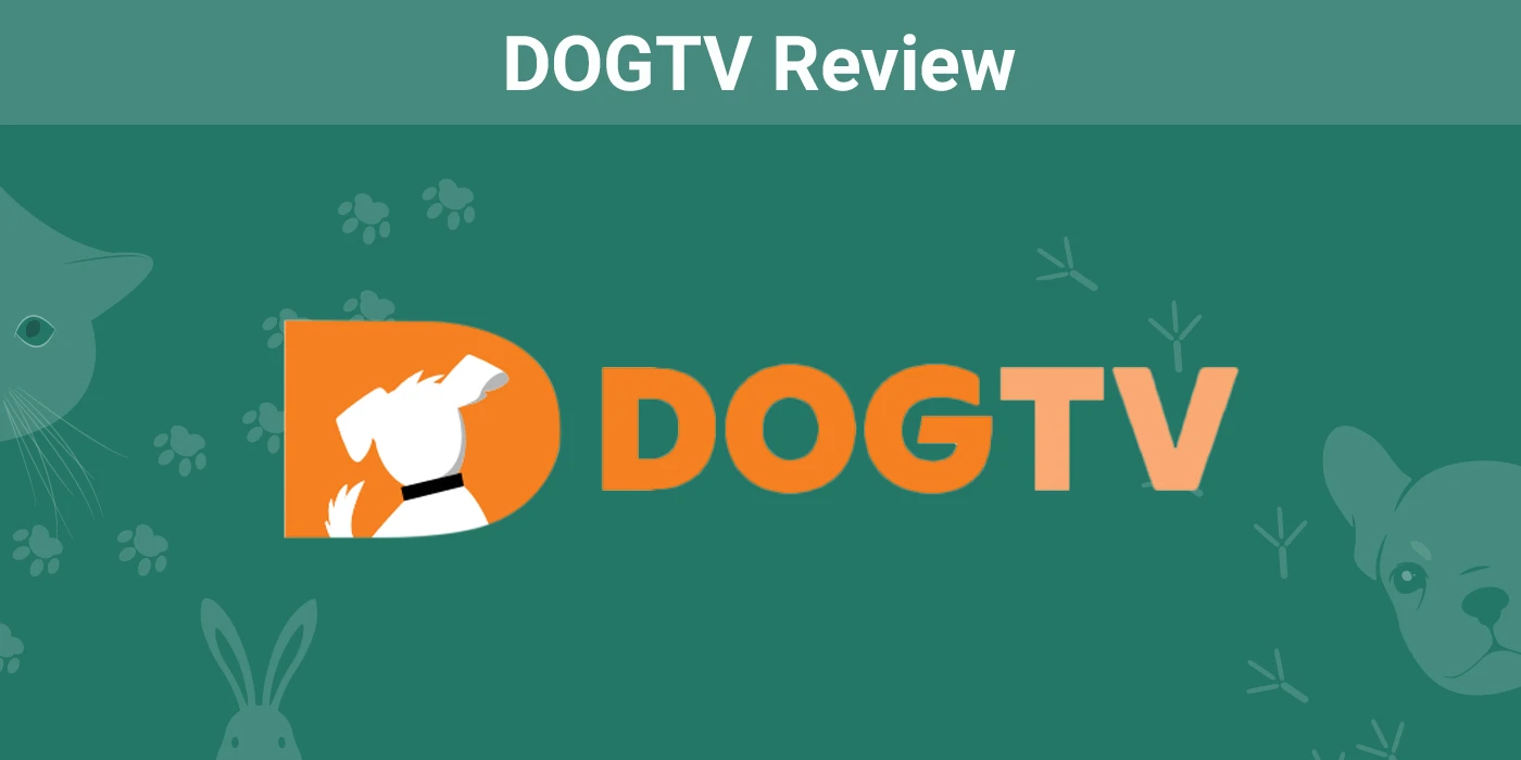 You are currently viewing DOGTV Review 2023: мнение нашего эксперта – плюсы, минусы и вердикт