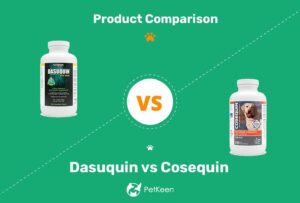 Read more about the article Dasuquin против Cosequin: в чем разница?  (Ответ ветеринара)