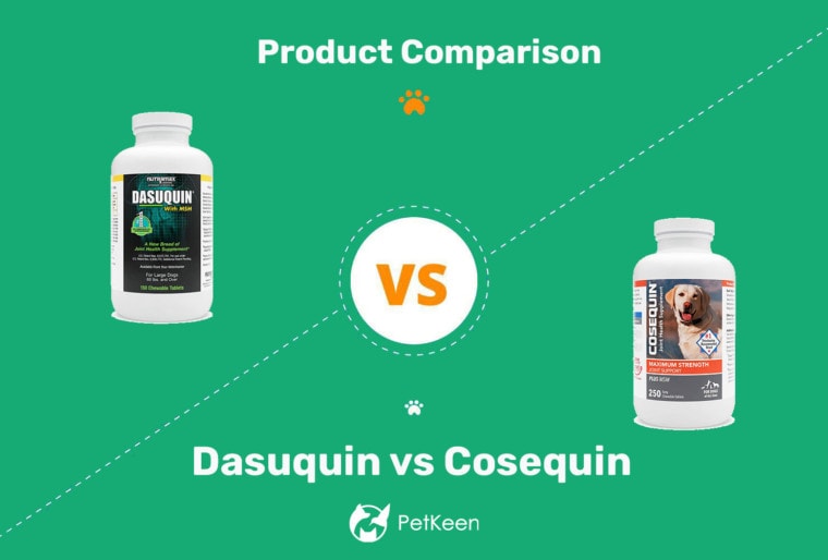 Изображение заголовка Dasuquin vs Cosequin 2