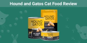 Read more about the article Hound and Gatos Cat Food Review 2023: отзывы, плюсы и минусы