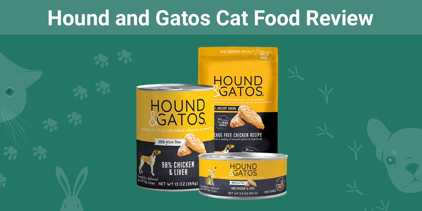 Read more about the article Hound and Gatos Cat Food Review 2023: отзывы, плюсы и минусы