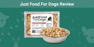Read more about the article Just Food For Dogs Review 2023: мнение нашего эксперта