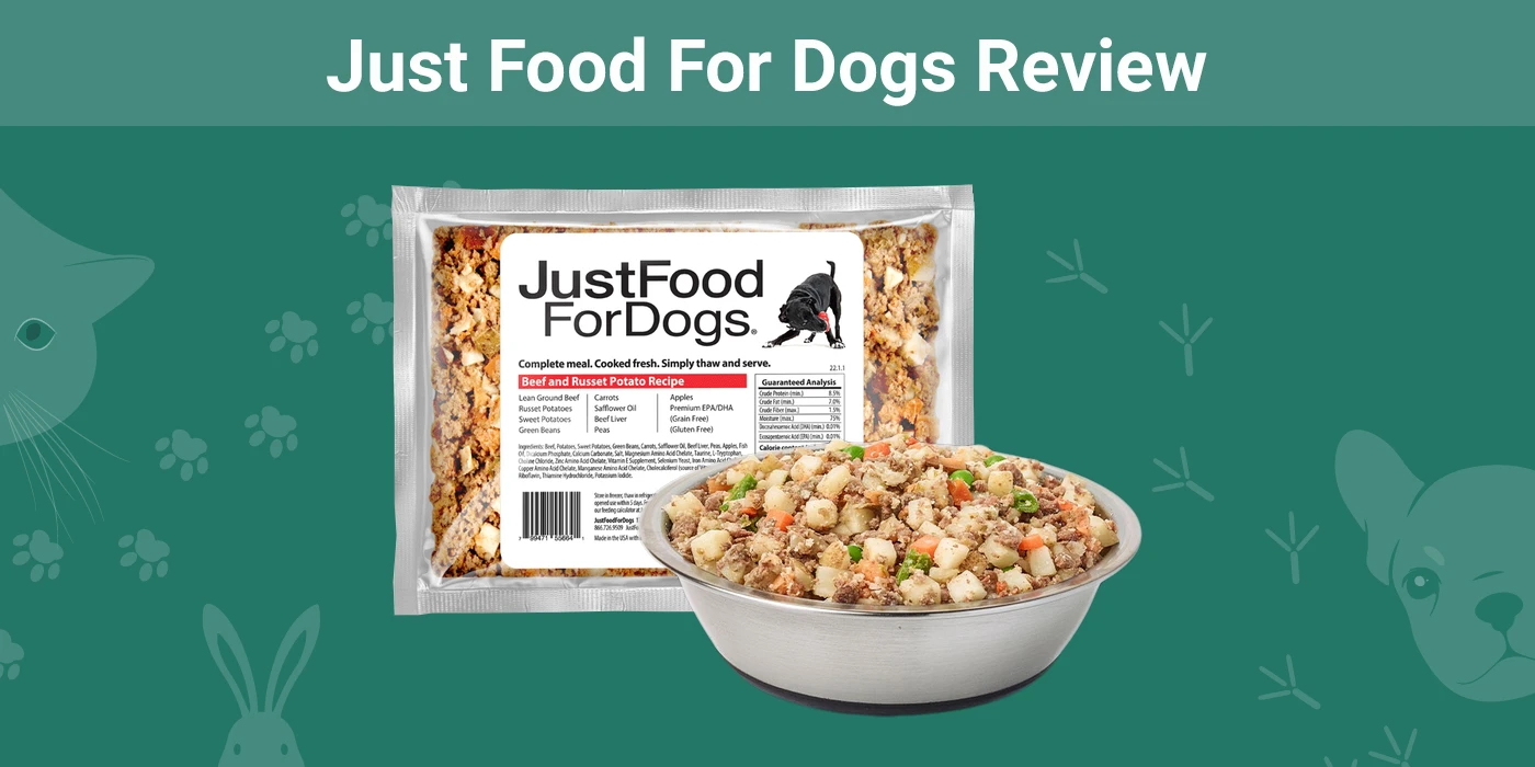 You are currently viewing Just Food For Dogs Review 2023: мнение нашего эксперта