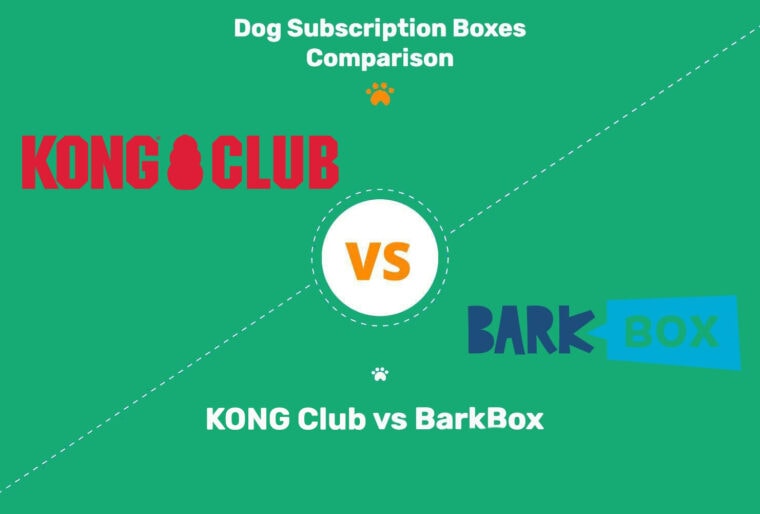 KONG-Club-vs-BarkBox2- копия