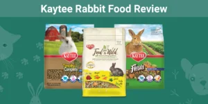 Read more about the article Обзор еды для кроликов Kaytee: отзывы, плюсы и минусы