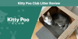 Read more about the article Обзор помета Kitty Poo Club 2023: мнение нашего эксперта