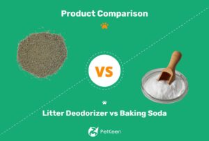 Read more about the article Дезодорант для мусора против пищевой соды: что лучше для моей кошки и меня?