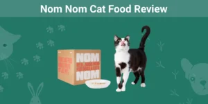 Read more about the article Обзор корма для кошек Nom Nom 2023: плюсы, минусы и отзывы